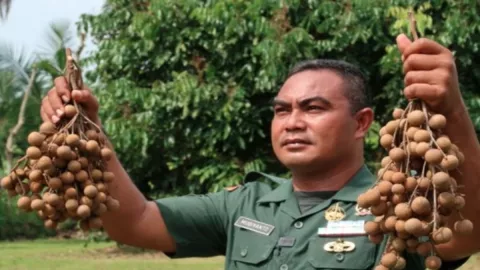 Sukses Usaha Buah, Mugiyanto Sampai Disebut Jenderal Lengkeng - GenPI.co