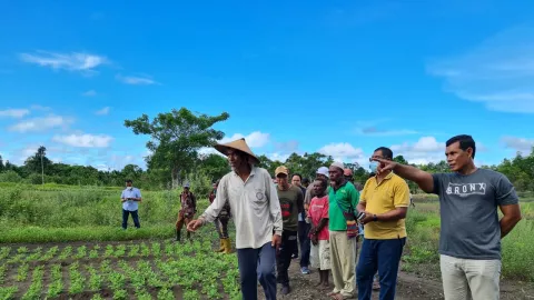 Berdayakan Pertanian Papua, PKT Gerakkan 4 Program Berkelanjutan - GenPI.co