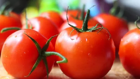 Tokcer! Sering Makan Tomat Merah Bikin Wanita Bahagia - GenPI.co