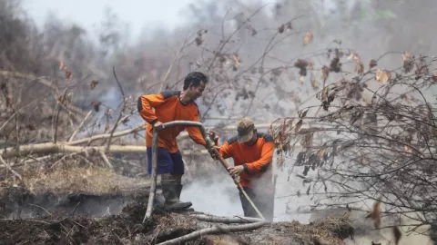Kebakaran 2 Hektare Lahan di Bintan, Diduga Sengaja Dibakar - GenPI.co