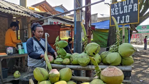 Dipercaya Tingkatkan Imun, Pedagang Kelapa Ini Untung Banyak! - GenPI.co