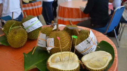 6.500 Durian Ludes Dilelang, Uangnya Dikasih ke Petani - GenPI.co