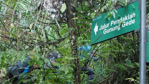 Penutupan Jalur Pendakian Gunung Gede-Pangrango Diperpanjang - GenPI.co