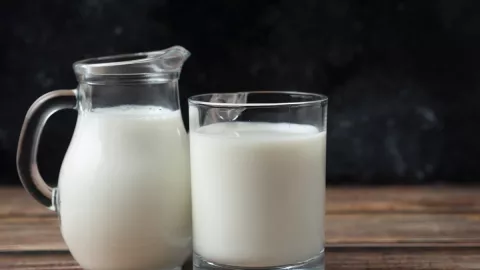 Khusus Penderita Kolesterol Tinggi, 2 Rekomendasi Susu Terbaik - GenPI.co