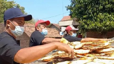 Harga Porang Anjlok, Petani Siasati dengan Menjual Bentuk Chips - GenPI.co