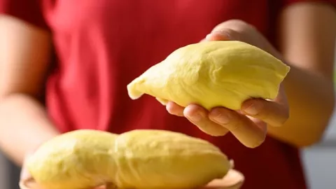 Buah Durian Manfaatnya Luar Biasa, Bisa Menyuburkan Kandungan - GenPI.co