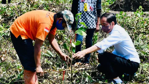 Jokowi: Hutan Mangrove di Bali Bakal dikunjungi 20 Pemimpin G20 - GenPI.co