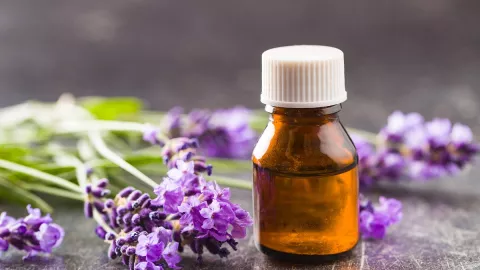 3 Manfaat Minyak Lavender untuk Perawatan Kulit, Cantik Tanpa Jerawat - GenPI.co