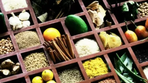 Indonesia Berpotensi Jadi Sumber Tanaman Herbal Dunia - GenPI.co