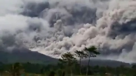 Hewan Ternak Terdampak Erupsi Gunung Semeru Juga Dapat Perhatian - GenPI.co