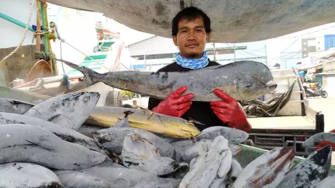 Ibu-Ibu Tenang, Stok Ikan Pas Ramadan dan Lebaran Aman! - GenPI.co