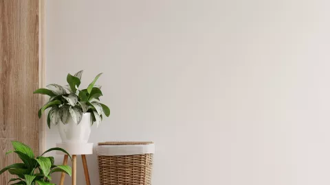 5 Alasan Dinding Rumahmu Harus Warna Putih - GenPI.co