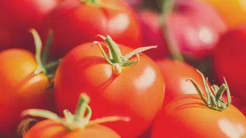 3 Cara Menggunakan Tomat untuk Wajah, Kulit Glowing Maksimal - GenPI.co
