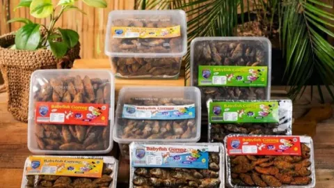 UMK Suhada Food Dapat Omzet 300 Juta Per Bulan, Ini Rahasianya - GenPI.co