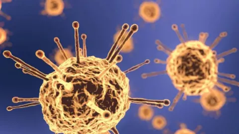 Waspada! Ilmuwan Wuhan Temukan Virus Corona Baru, Namanya NeoCoV - GenPI.co