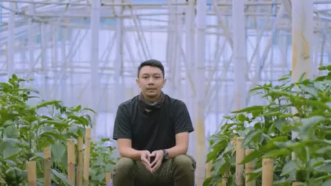 Masih Muda, Aji Sukses Jadi Petani Paprika, Pasarnya Luar Biasa - GenPI.co
