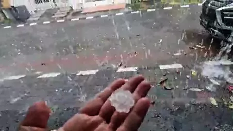 Hujan Es Batu Mengguyur Surabaya, Pepohonan Jebol - GenPI.co