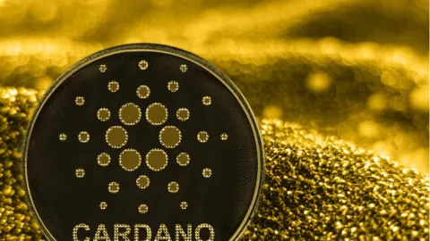 Cardano, Koin Kripto Masa Depan Bisa Kalahkan Bitcoin - GenPI.co