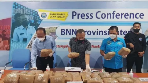 Soal Legalisasi Ganja, Halal Watch Minta Indonesia Tidak Latah - GenPI.co