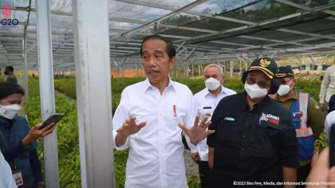 Presiden Jokowi Pantau Langsung Pembangunan Persemaian Mentawir - GenPI.co