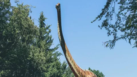 Peneliti Temukan Ribuan Jejak Kaki Dinosaurus di China - GenPI.co