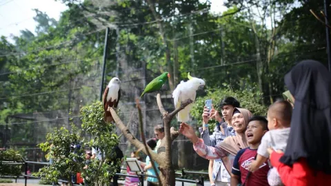 Mengenal Kebun Binatang Bandung dari Ahli Sejarah UPI - GenPI.co
