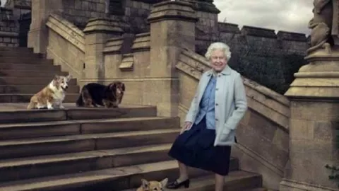 Ratu Elizabeth II Meninggal, Bagaimana Nasib Anabul Corgi Kesayangannya? - GenPI.co