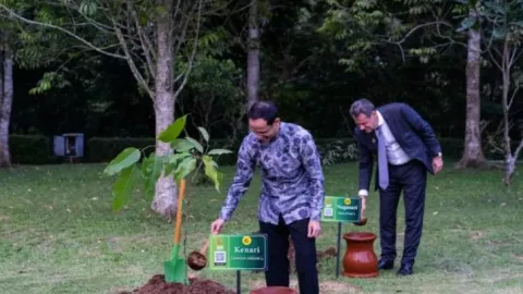 5 Jenis Benih Pohon Ditanam Delegasi G20 di Pelataran Borobudur - GenPI.co