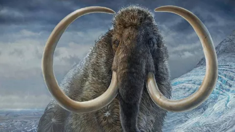 Tidak Biasa, CIA Ingin Menghidupkan Lagi Gajah Purba Mammoth - GenPI.co
