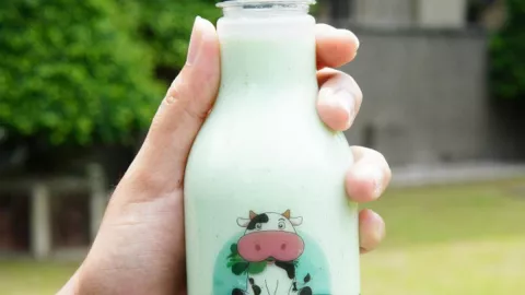 Cerdas! Mahasiswa UGM Buat Minuman Yoghurt Berbahan Genjer - GenPI.co