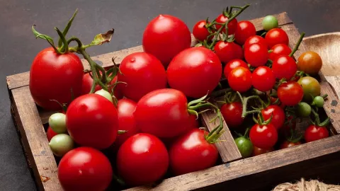 5 Manfaat Makan Tomat untuk Kesehatan, Atasi Diabetes dan Bikin Jantung Sehat - GenPI.co