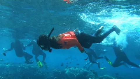 Wisatawan Mancanegara Dibikin Terpukau Pesona Bawah Laut Olele - GenPI.co