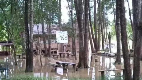 5 Kecamatan di Batanghari Jambi Banjir, Debit Sungai Terus Dipantau - GenPI.co