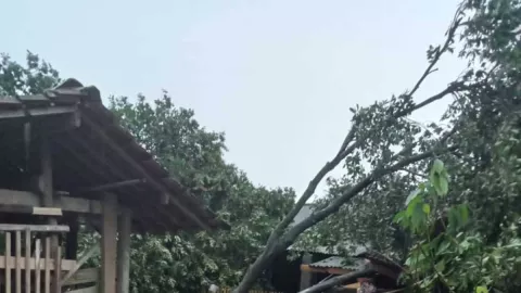 54 Rumah Rusak Akibat Angin Puting Beliung di Lampung Timur - GenPI.co