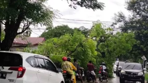 BMKG Imbau Warga NTT Waspada Cuaca Ekstrem Dampak Bibit Siklon Tropis - GenPI.co