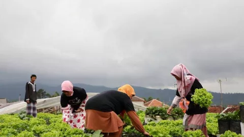 Manuver Berkelas Ganjar Muda Padjadjaran kepada Petani Lembang - GenPI.co