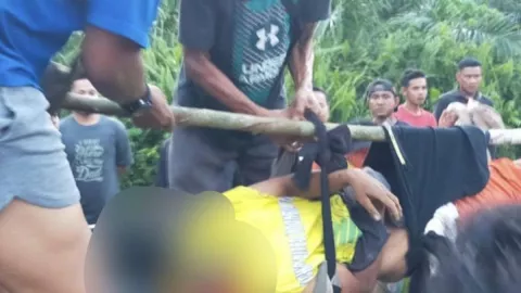Petani Karet di Siak Ditemukan Tewas Diduga Diserang Harimau - GenPI.co