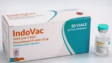 Penerima Vaksin Primer Pfizer Bisa Booster dengan IndoVac Bio Farma - GenPI.co