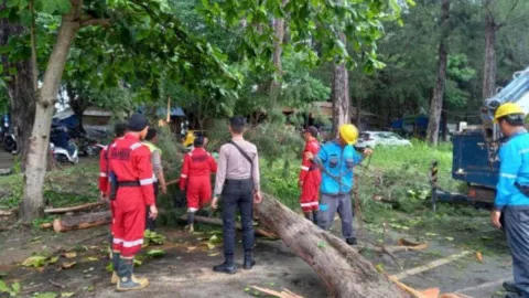 BMKG Jelaskan Penyebab Angin Kencang di Bengkulu hingga Timbulkan Korban - GenPI.co