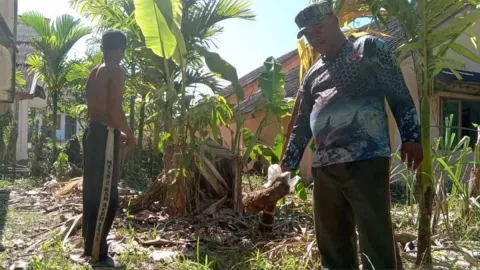 Gajah Liar di Aceh Jaya Masuk Permukinan, Warga Mulai Ketakutan - GenPI.co