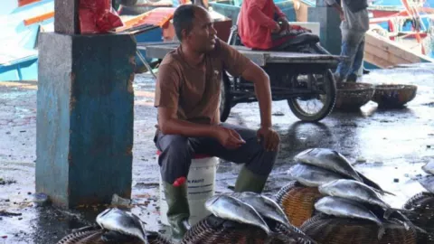 Nelayan Banda Aceh Panen Ikan Tongkol, Harganya Jadi Murah - GenPI.co