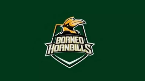 Gemakan Basket Kalimantan, Borneo Hornbills Kenalkan Logo Burung Enggang - GenPI.co