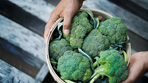 Pentingnya Mengonsumsi Brokoli Saat Sedang Menjalani Program Diet - GenPI.co