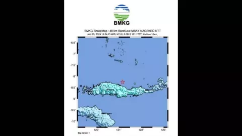 Gempa Magnitudo 5,6 Guncang Laut Flores, BMKG Ungkap Penyebabnya - GenPI.co