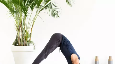 Cobalah Pose Lumba-lumba Ketika Yoga, Rasakan Manfaat yang Luar Biasa - GenPI.co