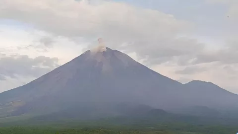 Gunung Semeru Erupsi, Muntahkan Abu Vulkanik Setinggi 500 Meter - GenPI.co