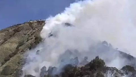 Urung Padam, Ini Kendala Pemadaman Api Gunung Batok di Kawasan Gunung Bromo - GenPI.co