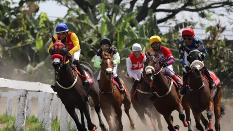 Ajang Pacuan Kuda di Bantul Diikuti 148 Peserta, Rebut Hadiah Rp1,2 Miliar - GenPI.co