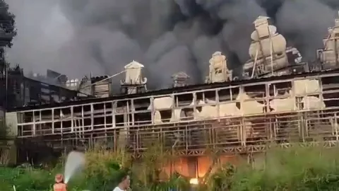 Astaga! Taman Bunga Celosia di Bandungan Jawa Tengah Kebakaran - GenPI.co