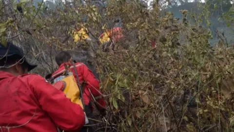 Lahan Seluas 10 Hektare di Karo Sumatra Utara Terbakar, BNPB Cari Penyebabnya - GenPI.co